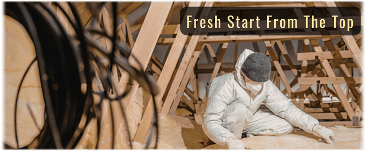 Attic Cleaning Houston TX