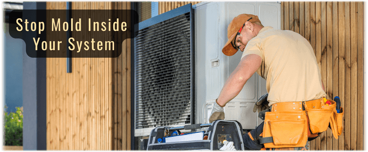 HVAC Mold Removal Houston TX